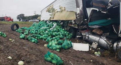 No se armó la rapiña de repollo tras el choque de dos tráileres en la carretera a San Fernando