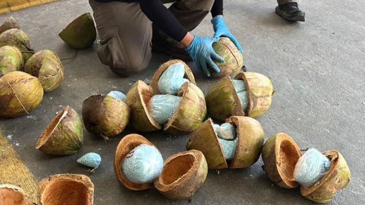 Encuentran 300 kilos de fentanilo oculto en cargamento de cocos en Sonora | VIDEO