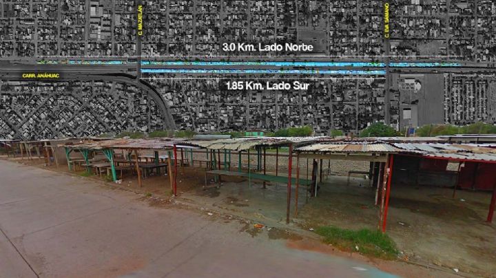 La pulga de los rieles; de los mercados lineales más grandes de México