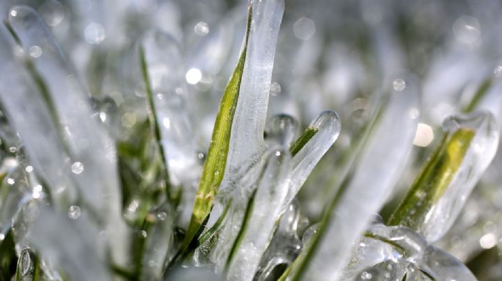 Jueves y viernes: temperaturas bajo cero en Laredo, TX