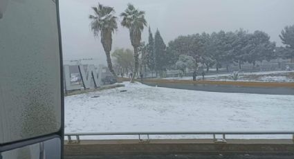 Cae nieve en Ramos Arizpe y Saltillo; carreteras se pintan de blanco con Frente Frío 19