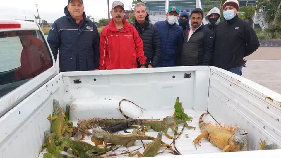 Las llevan a un albergue para que estén calientitas