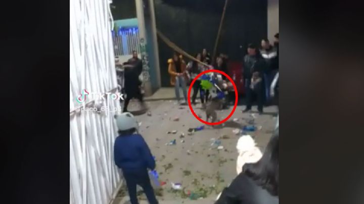 ¡Aprovechado! Perrito se roba una piñata en pleno festejo de Navidad | VIDEO