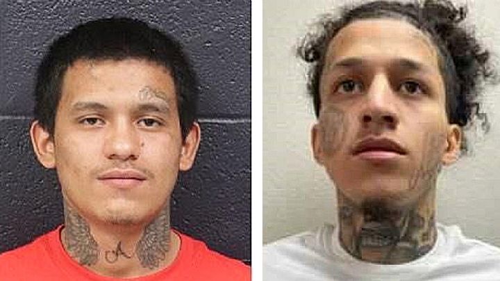 Ofrecen hasta mil dólares de recompensa por informar paradero de delincuentes