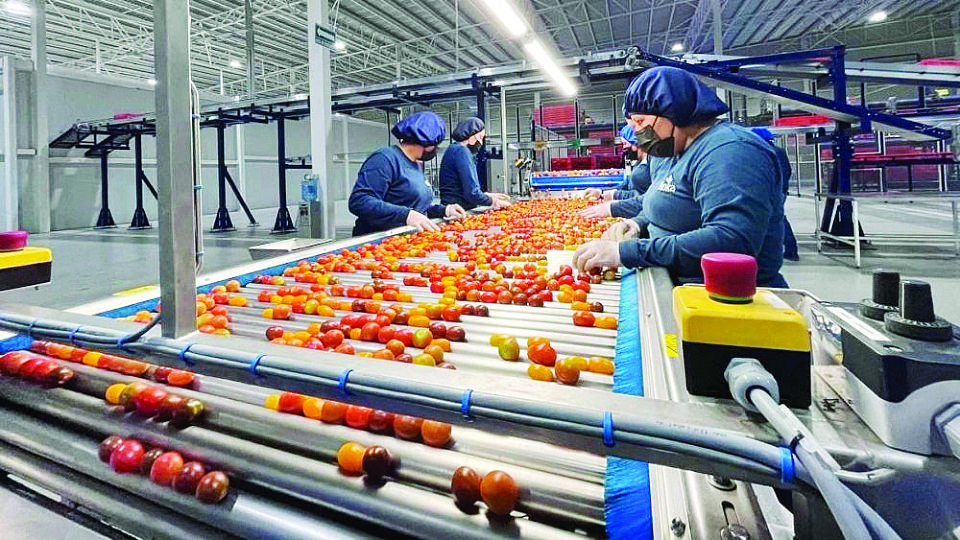 El sector industrial es el que más puestos de trabajo aportó en noviembre