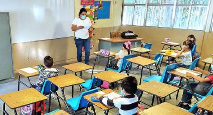 Consulta de calificaciones: Así puedes ver los resultados de tu hijo si estudia en Tamaulipas