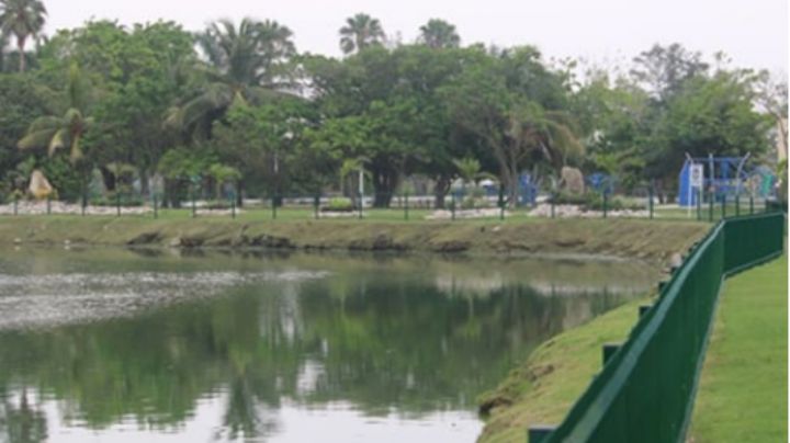 Niño de dos años se le pierde de vista a su madre; lo hallan muerto en laguna en Tamaulipas