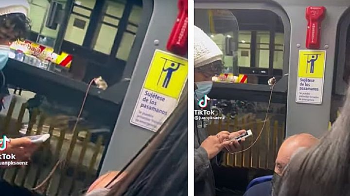 Compra correa para sacar a pasear a su ratoncito | VIDEO DIVERTIDO