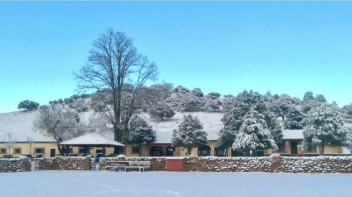 'El Durangueño', el lugar perfecto para disfrutar la Navidad | VIDEO