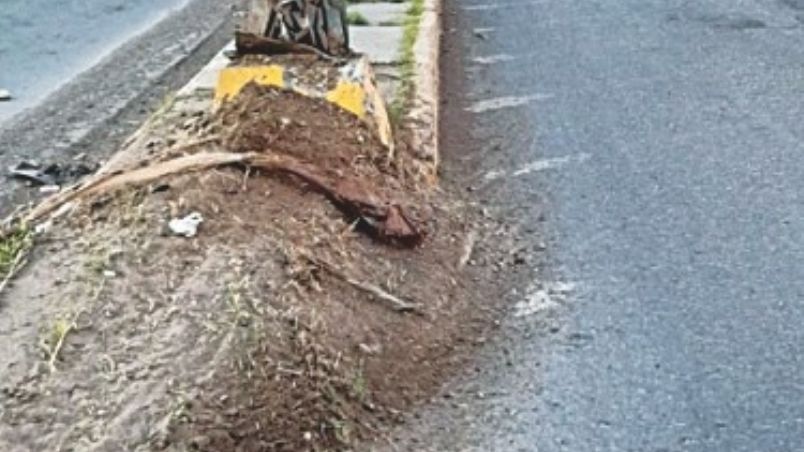 Varios vehículos han colisionado contra esta esquina.
