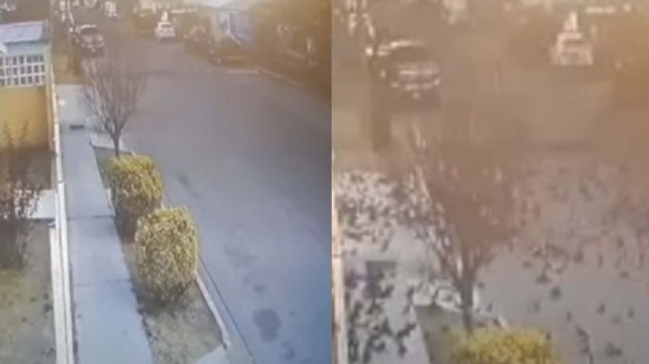 VIDEO: Captan momento en el que más de 100 aves migratorias mueren en pleno vuelo