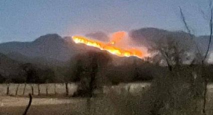 Incendio forestales en la Sierra de Sonora acaban con mil 300 hectáreas