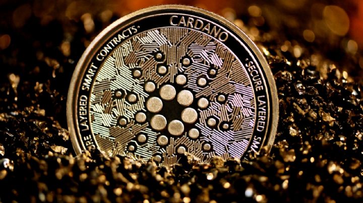 Qué es Cardano: la criptomoneda que permite más de 200 por segundo