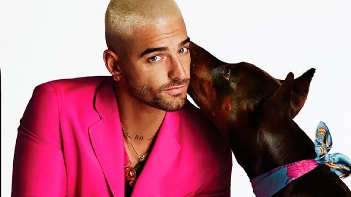 VIDEO: ¡En la cara no! Perro Doberman ataca a maluma en el rostro