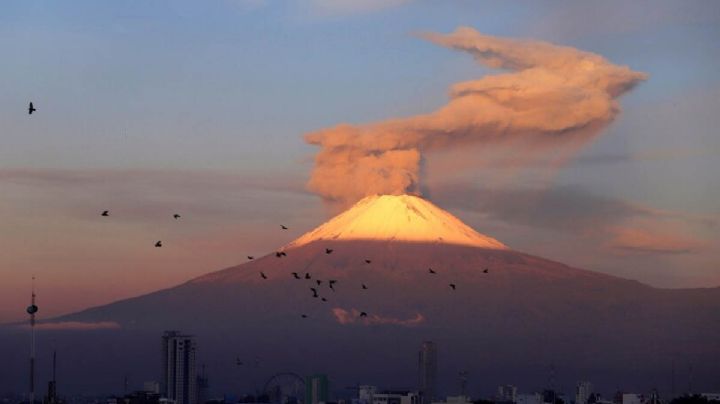 CENAPRED: Volcán Popocatépetl registró 61 exhalaciones