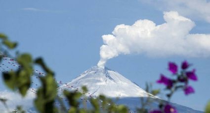 CENAPRED: Volcán Popocatépetl registra 23 exhalaciones y 1 sismo volcanotectónico