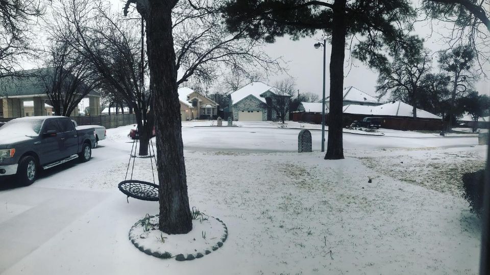 Decenas de personas comparten imágenes de la nieve