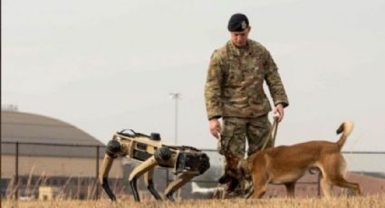 Perros robot patrullarán la frontera de EU con México -realizan pruebas-