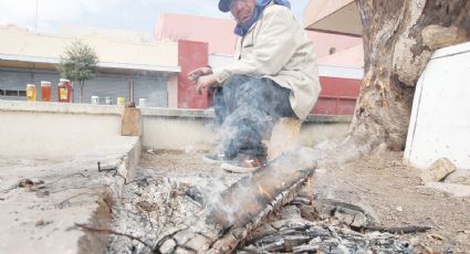 ‘Congela’ helada actividad en NLD