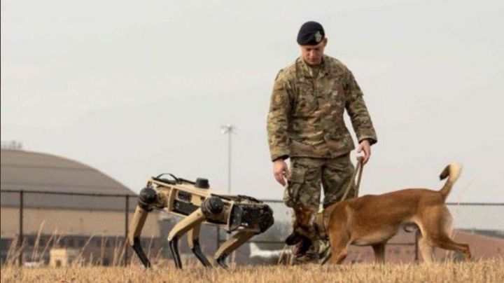 Perros robot patrullarán la frontera de EU con México -realizan pruebas-