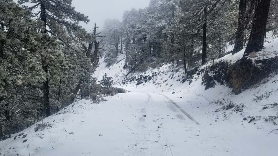 Incluso, debido a las nevadas, una familia se quedó varada en el Cerro del Potosí en el municipio de Galeana.

