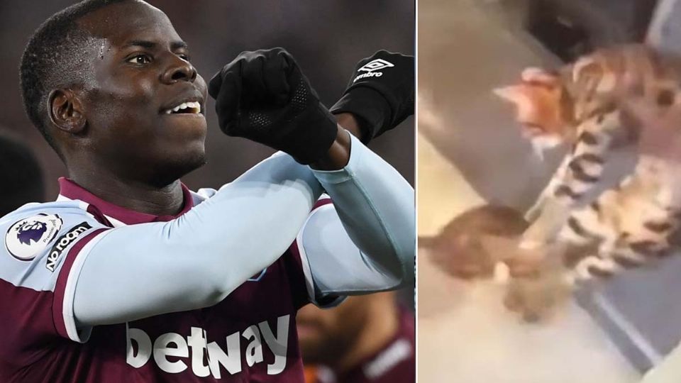 El jugador francés, se disculpó por el video en el que se le ve maltratando a su mascota en su casa