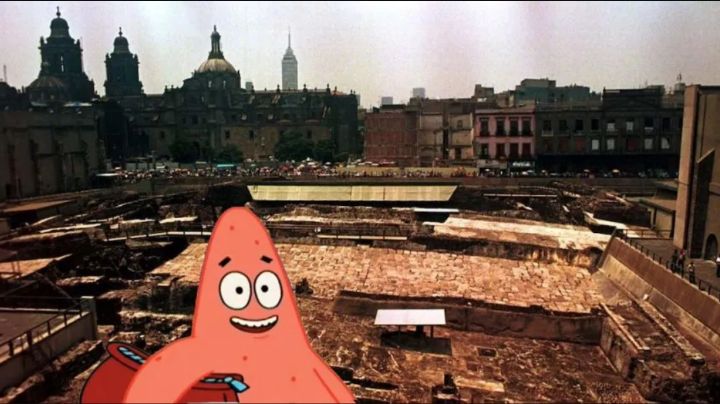 ¡Increíble! Hallan en Templo Mayor gran depósito de estrellas de mar; eran para ofrenda