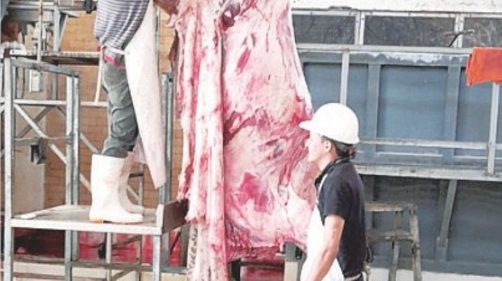 Ofrecen 63 carnicerías producto más saludable