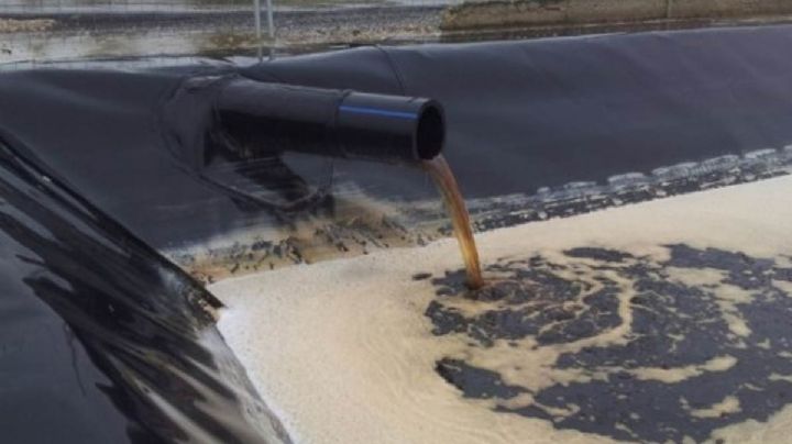 Lixiviados ¿Qué es el líquido que mató a 100 perritos en EDOMEX?