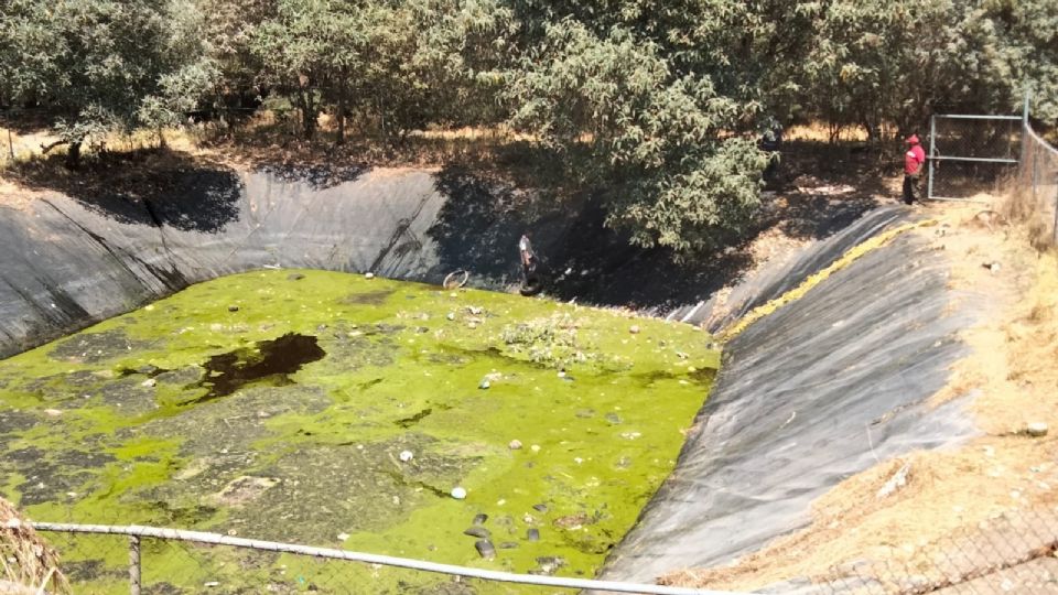 El estado avanzado de descomposición de los animales sobre el agua solo hizo posible su entierro en los alrededores de lugar