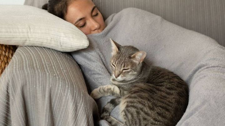 Día mundial del Sueño ¿Cuáles son los beneficios de echarte un coyotito?