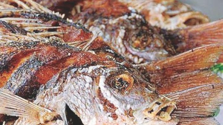 Evite enfermedades si consume marisco