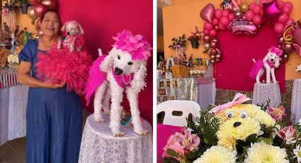 VIDEO: Abuelita le celebra fiesta de XV Años a su perrita french poodle