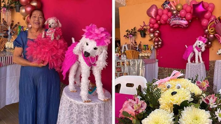 VIDEO: Abuelita le celebra fiesta de XV Años a su perrita french poodle