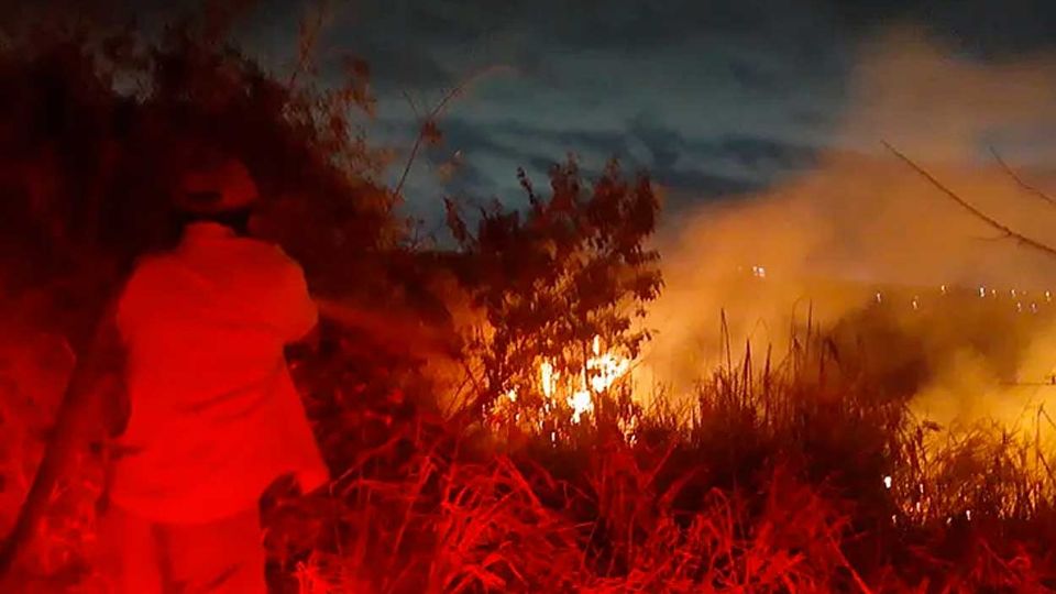 Las llamas acavabn con hectáreas de bosque