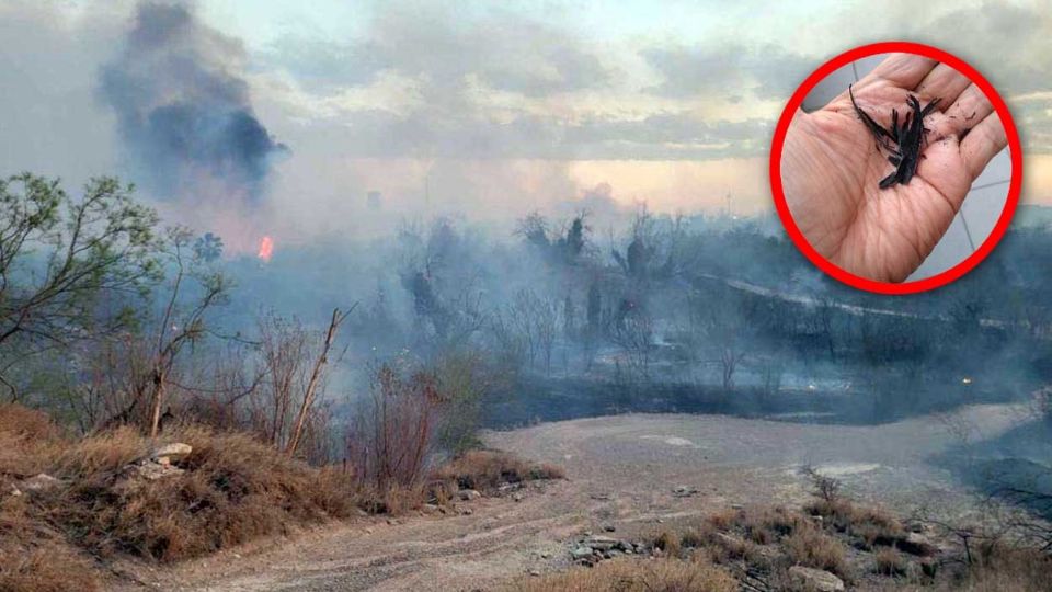 La ceniza cae en Nuevo Laredo