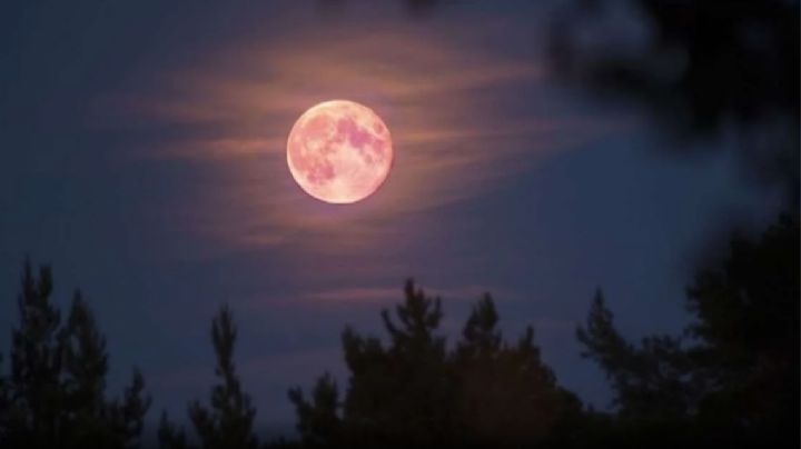 ¡Mira hacia arriba! La luna rosa llega en abril, este es el calendario astronómico del próximo mes