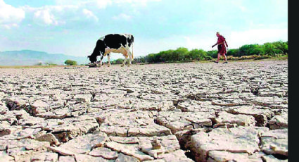 Golpea sequía 80% de tierras tamaulipecas