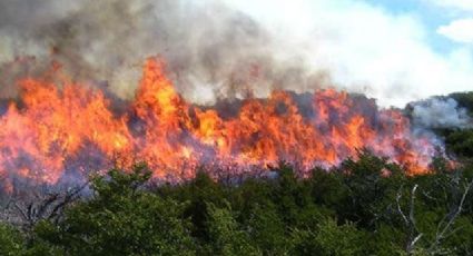 ¡El fuego continúa! ya son 11 días de incendio en la Biosfera del cielo; 440 hectáreas son afectadas