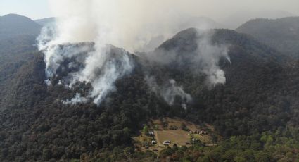 Tamaulipas: Incendio en Biósfera El Cielo ya consumió 710 hectáreas de reserva