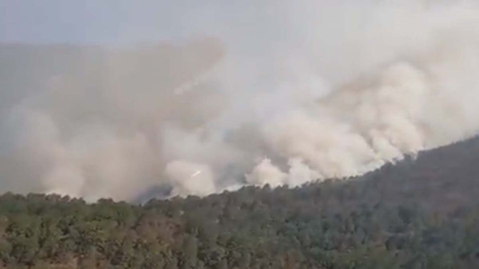 De igual manera informaron que se modificó el decreto de la zona de veda para el uso de fuego