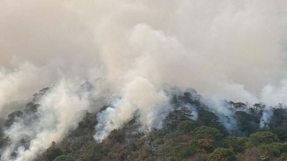 Protección Civil de Tamaulipas fue quien informó que se tiene controlado el 60% del fuego