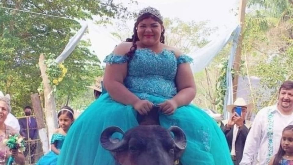 A pesar de las burlas y las críticas, la quinceañera logró cumplir su sueño y llegar de la forma que quería hasta su fiesta