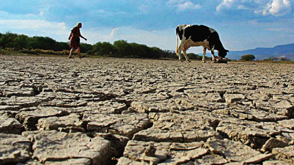 Se menciona que los únicos lugares en el país que no presentan impactos son Yucatán, Tlaxcala, Tabasco y Morelos.