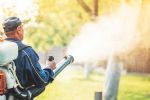 Fumigan parques públicos y plazas contra mosquitos