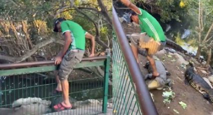 Estupidez nivel: Hombre es grabado pateando cocodrilos en la Laguna del Carpintero en Tampico