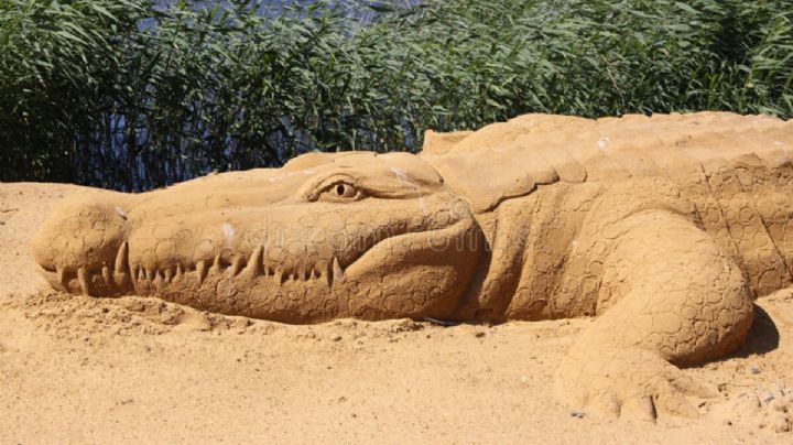 Niño destruye cocodrilo de arena mientras su creador explicaba su obra