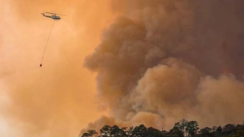 La presente situación ha estado preocupando a la población y asociaciones como Amigos de La Sierra.