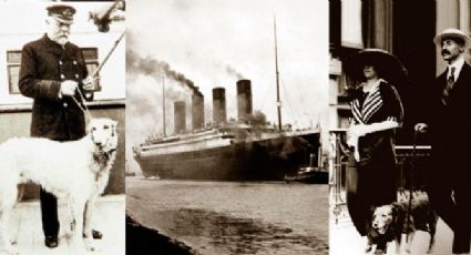 Tragedia del Titanic cumple 110 años: sobrevivieron 3 perritos