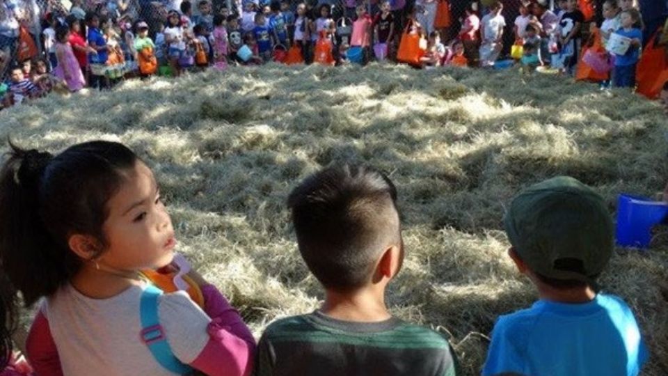 Mañana, miles de personas llenarán los parques municipales.